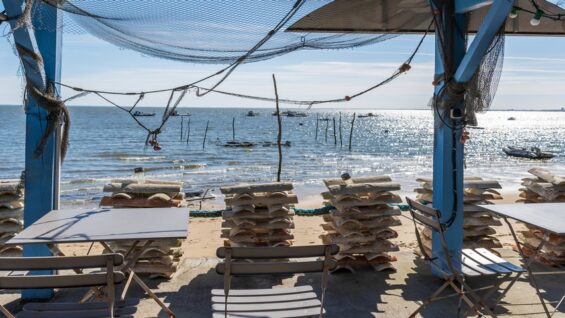 Santé : ce qu’il faut savoir sur le « norovirus » qui contamine les huîtres du Bassin d’Arcachon