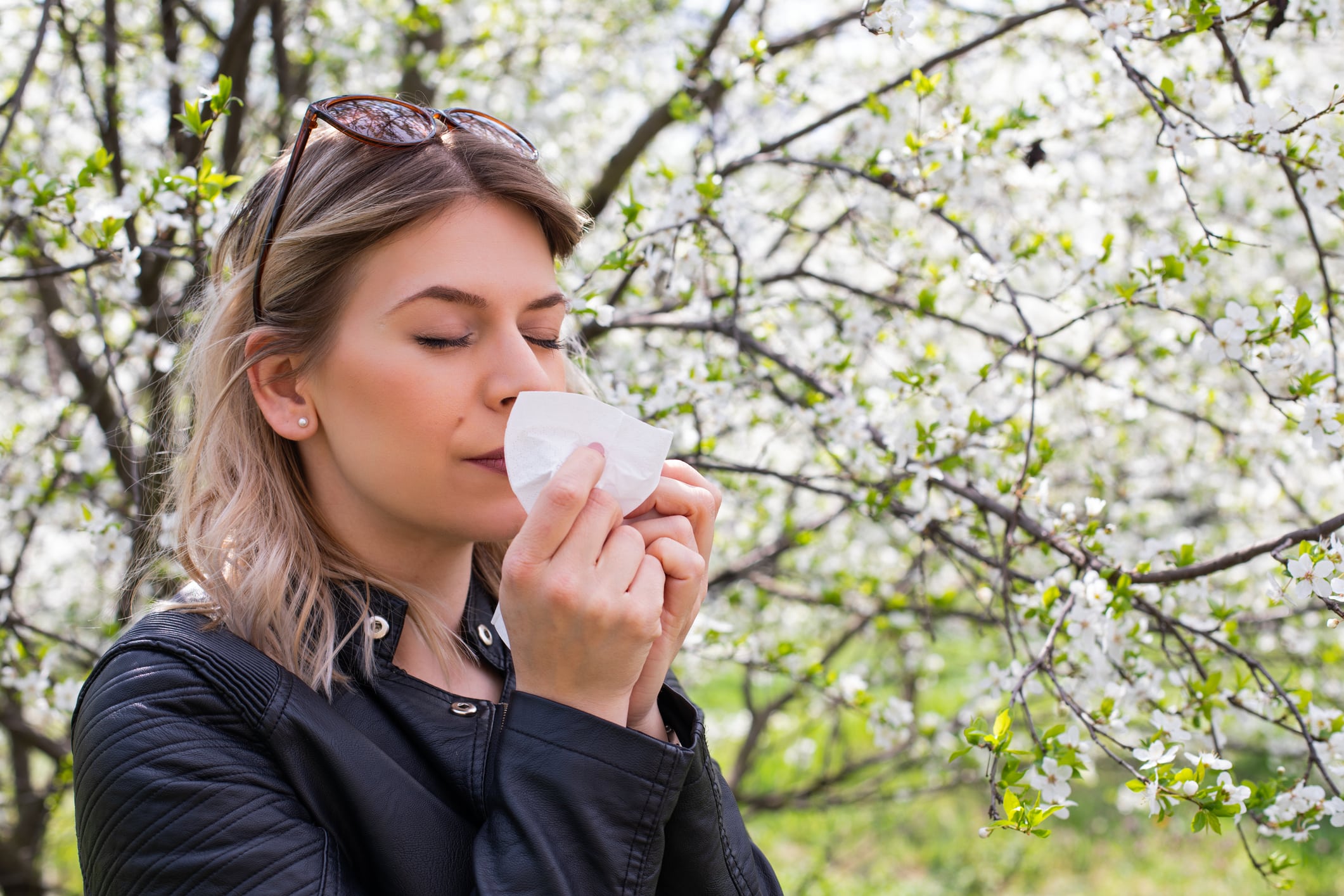 Allergies aux pollens : pratiquement tout le territoire français est passé en alerte rouge